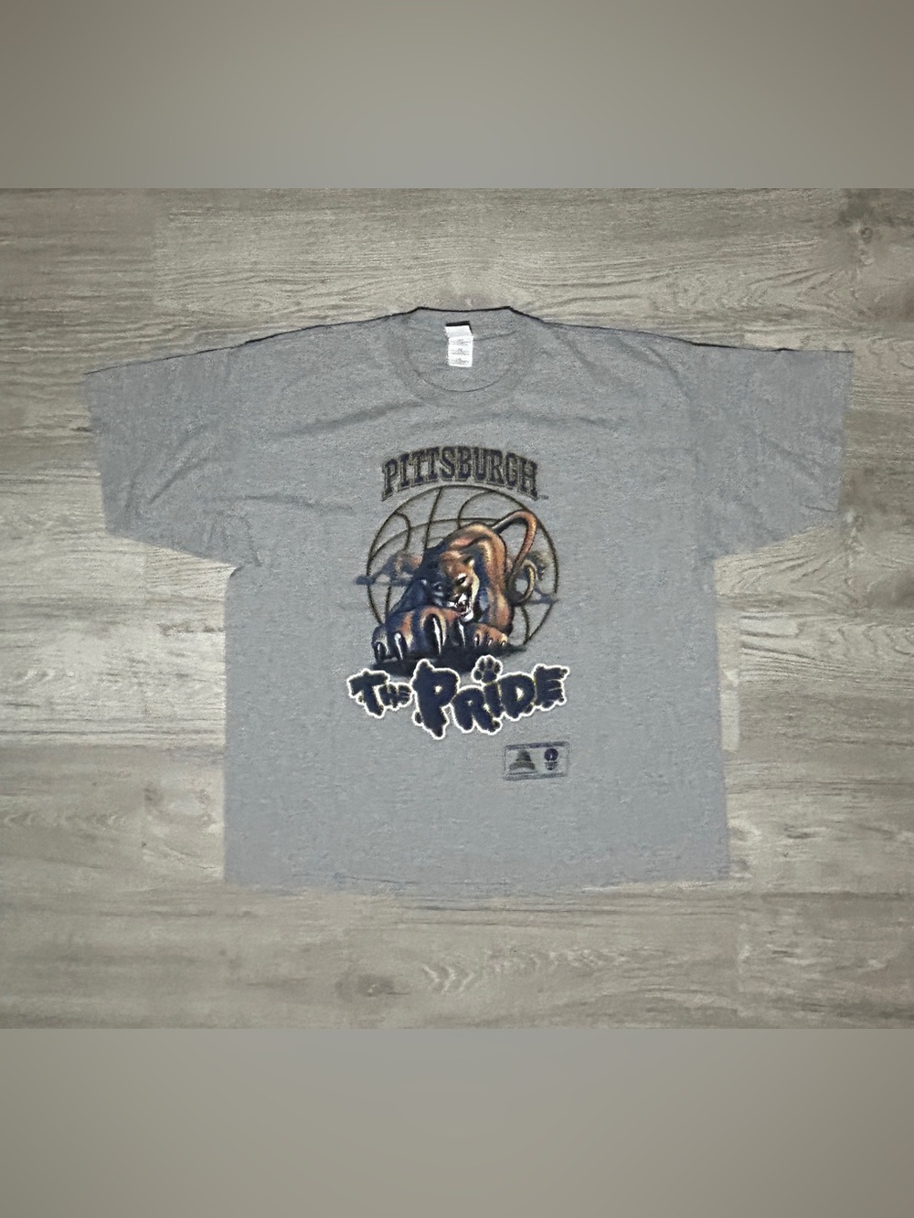 2004 Pittsburgh Panthers “The Pride” Graphic T-Shirt - Gray